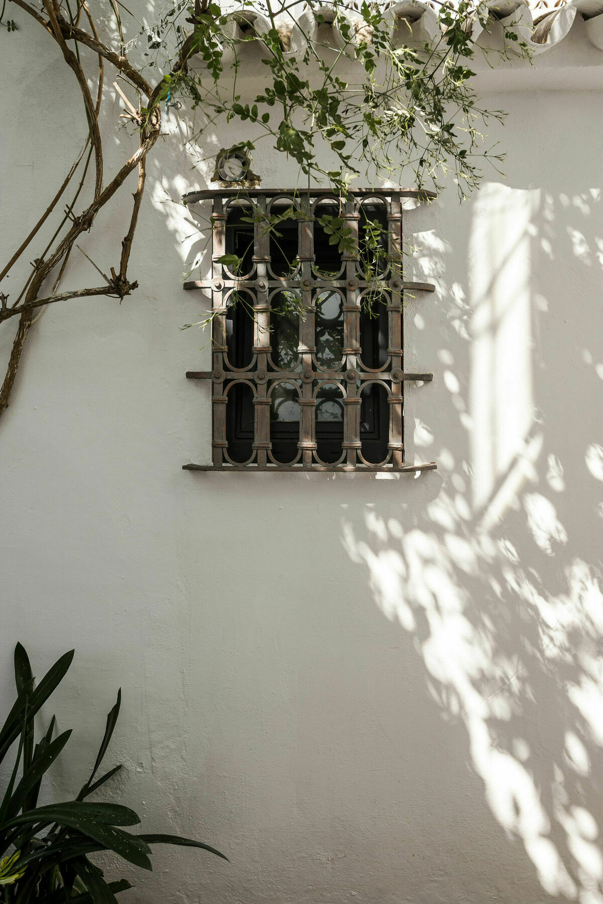 Selecta Apartments Los Venerables Σεβίλλη Εξωτερικό φωτογραφία