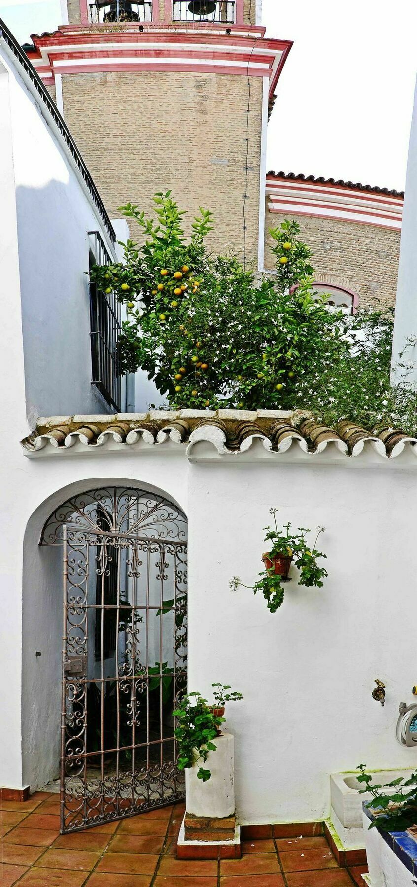 Selecta Apartments Los Venerables Σεβίλλη Εξωτερικό φωτογραφία